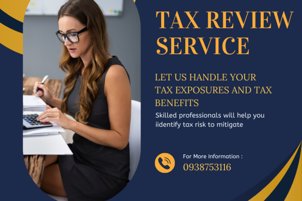 Tax Review Service
