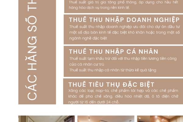 CÁC HẰNG SỐ TRONG THUẾ (P2) : 10%